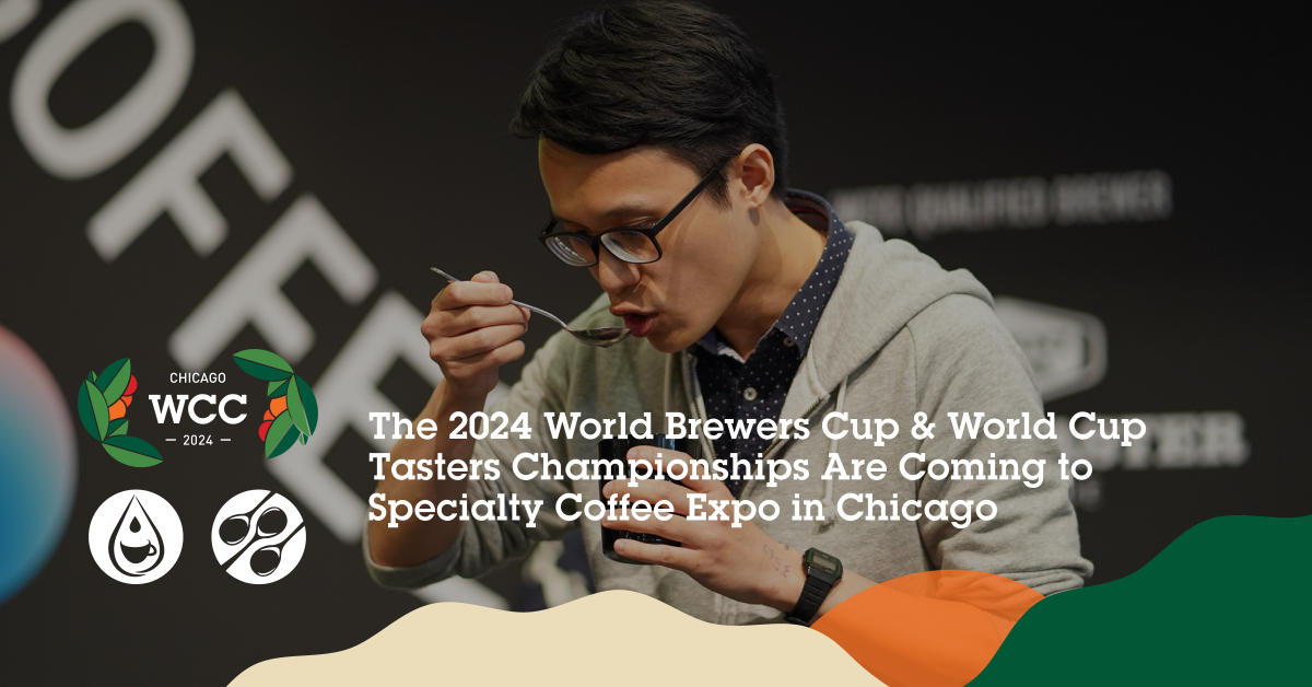 2024 World Barista Championship to take place at World of Coffee Busan