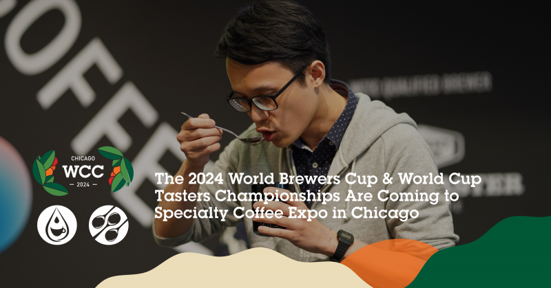 2024 World Brewers Cup World Cup Tasters Championships Are Coming To   Artboard 1@2x 800x419 